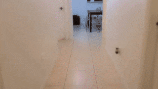 Crystal Lust Creampi With Father Sex Gif